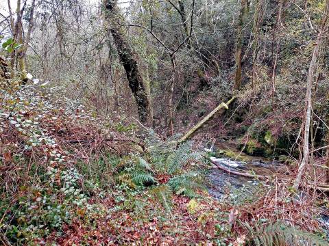 Moinho para recuperar em S. Pedro do Sul