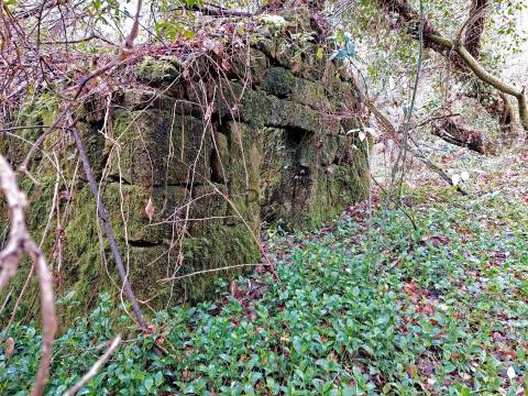 Moinho para recuperar em S. Pedro do Sul