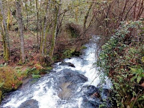 Moinho para recuperar em S. Pedro do Sul