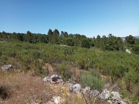 Terreno Rústico em Fornos de Algodres