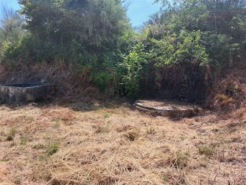 Terreno Rústico em Fornos de Algodres