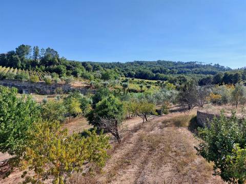 Moradia isolada T5 em Penalva do Castelo