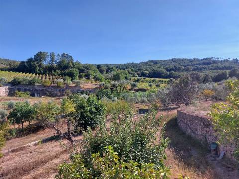 Moradia isolada T5 em Penalva do Castelo