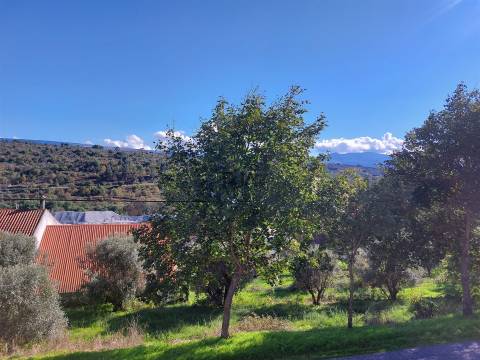 Moradia Rústica T5 em Fornos de Algodres