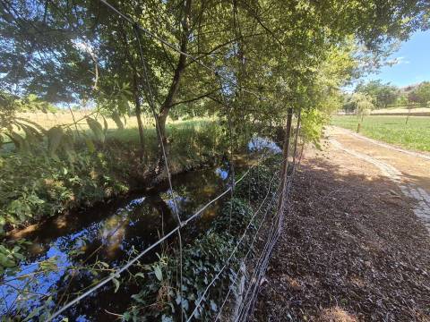 Apartamento T3 em Viseu