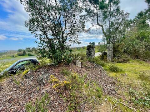 Terrenos mistos em Santar