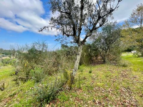 Terrenos mistos em Santar