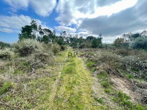 Terrenos mistos em Santar