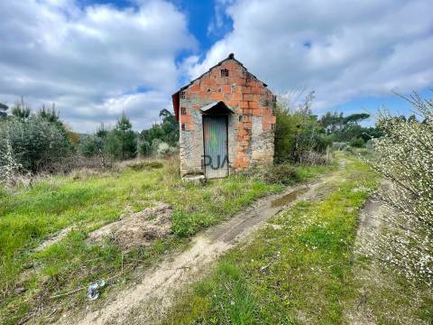 Terrenos mistos em Santar