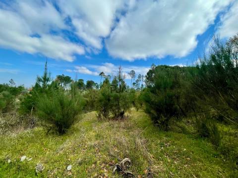 Terrenos mistos em Santar
