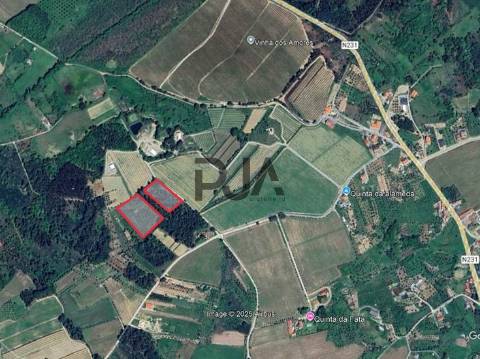 Terrenos mistos em Santar