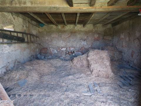 Quinta 1Ha em Vila Cortês da Serra