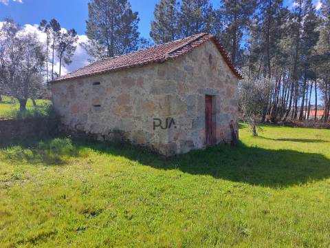 Quinta 1Ha em Vila Cortês da Serra