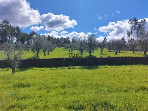 Quinta 1Ha em Vila Cortês da Serra