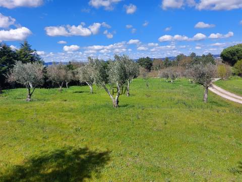 Quinta 1Ha em Vila Cortês da Serra