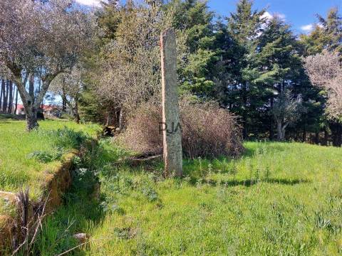 Quinta 1Ha em Vila Cortês da Serra