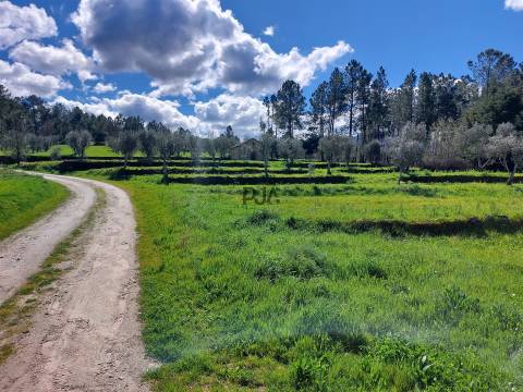 Quinta 1Ha em Vila Cortês da Serra