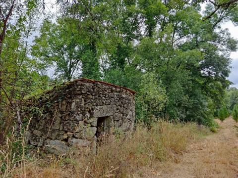 Quinta com 6ha em Penalva do Castelo
