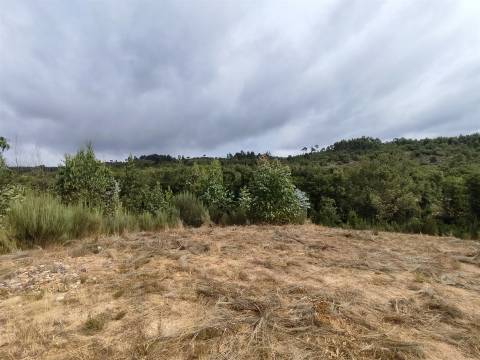 Quinta com 6ha em Penalva do Castelo