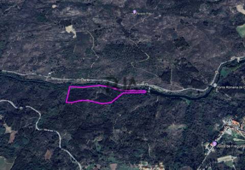 Quinta com 6ha em Penalva do Castelo