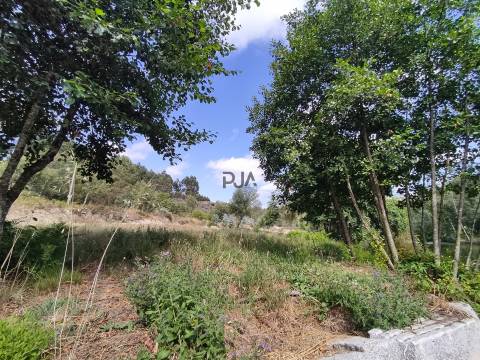 Quinta com 6ha em Penalva do Castelo