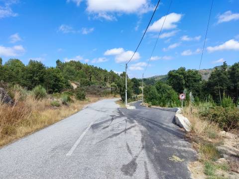 Quinta com 6ha em Penalva do Castelo
