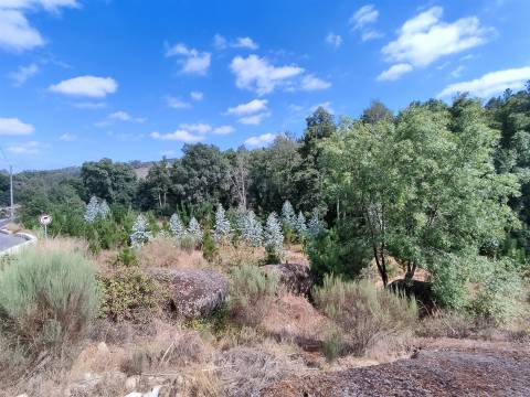 Quinta com 6ha em Penalva do Castelo