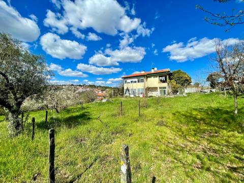 Quinta com 3 apartamentos em Figueiró, Viseu