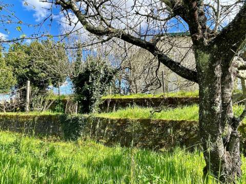 Quinta com 3 apartamentos em Figueiró, Viseu