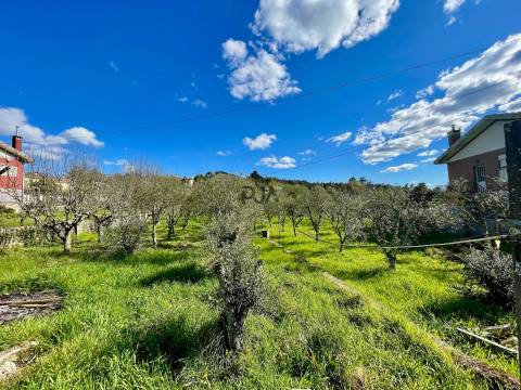 Quinta com 3 apartamentos em Figueiró, Viseu