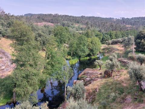 Moradia T1 em Quinta da Ponte, Penalva do Castelo