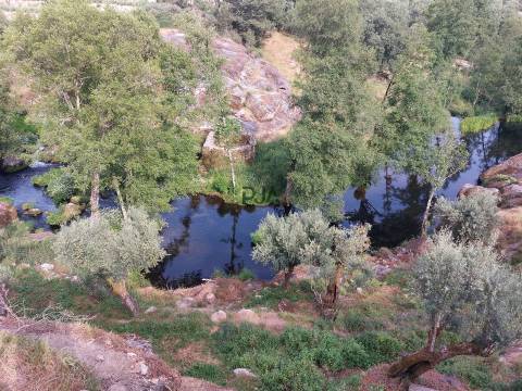 Moradia T1 em Quinta da Ponte, Penalva do Castelo