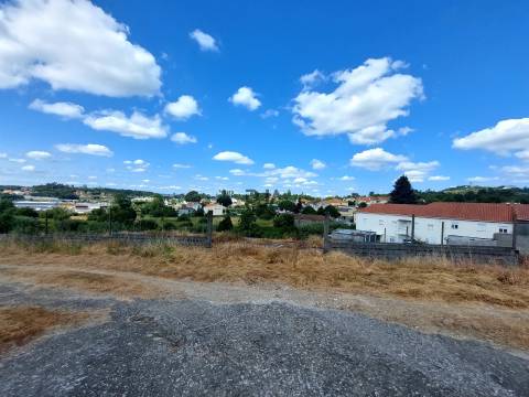 Terreno em Mangualde