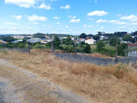 Terreno em Mangualde