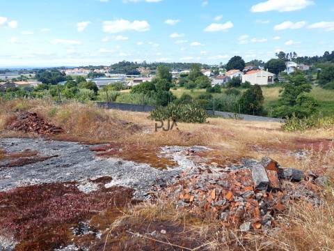 Terreno em Mangualde