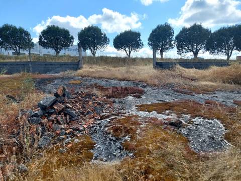 Terreno em Mangualde