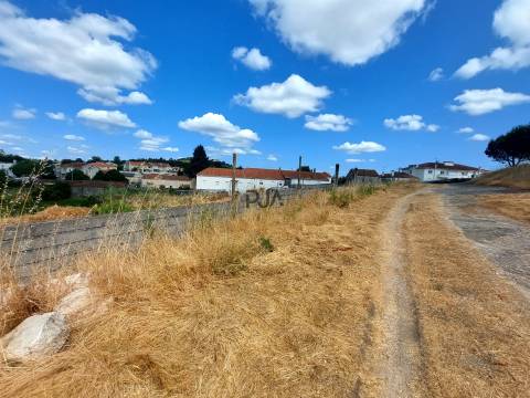 Terreno em Mangualde