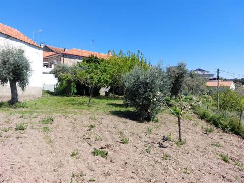 Moradia Rústica T3 em Vila Soeiro do Chão, Fornos de Algodres