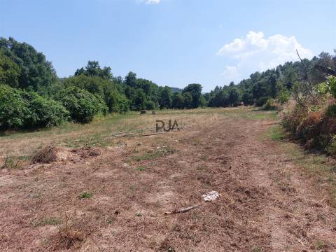 Moradia T6 Venda em Celorico (São Pedro e Santa Maria) e Vila Boa do Mondego,Celorico da Beira