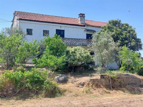 Moradia T6 Venda em Celorico (São Pedro e Santa Maria) e Vila Boa do Mondego,Celorico da Beira