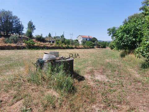 Moradia T6 Venda em Celorico (São Pedro e Santa Maria) e Vila Boa do Mondego,Celorico da Beira