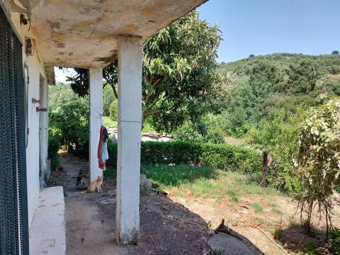 Moradia T6 Venda em Celorico (São Pedro e Santa Maria) e Vila Boa do Mondego,Celorico da Beira