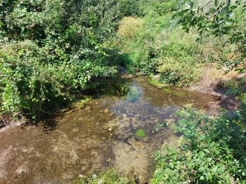 Moradia T6 Venda em Celorico (São Pedro e Santa Maria) e Vila Boa do Mondego,Celorico da Beira