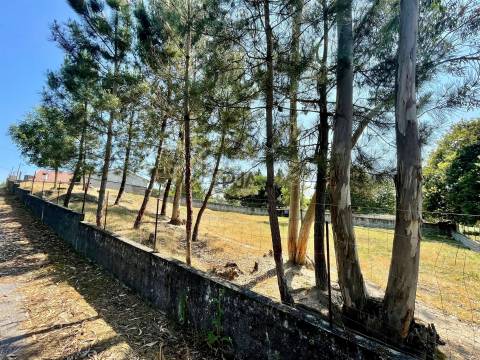 Terreno com viabilidade construtiva em Santa Comba Dão