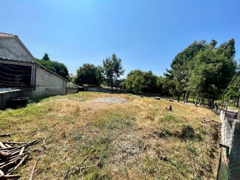 Terreno com viabilidade construtiva em Santa Comba Dão