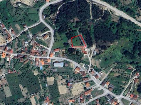 Terreno com viabilidade construtiva em Santa Comba Dão
