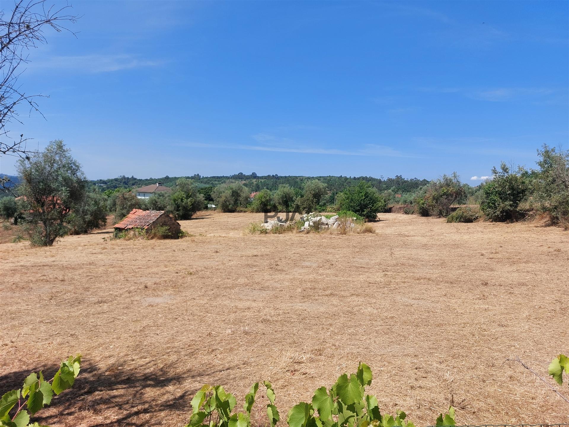 Terreno para construção em Encoberta, Penalva do Castelo
