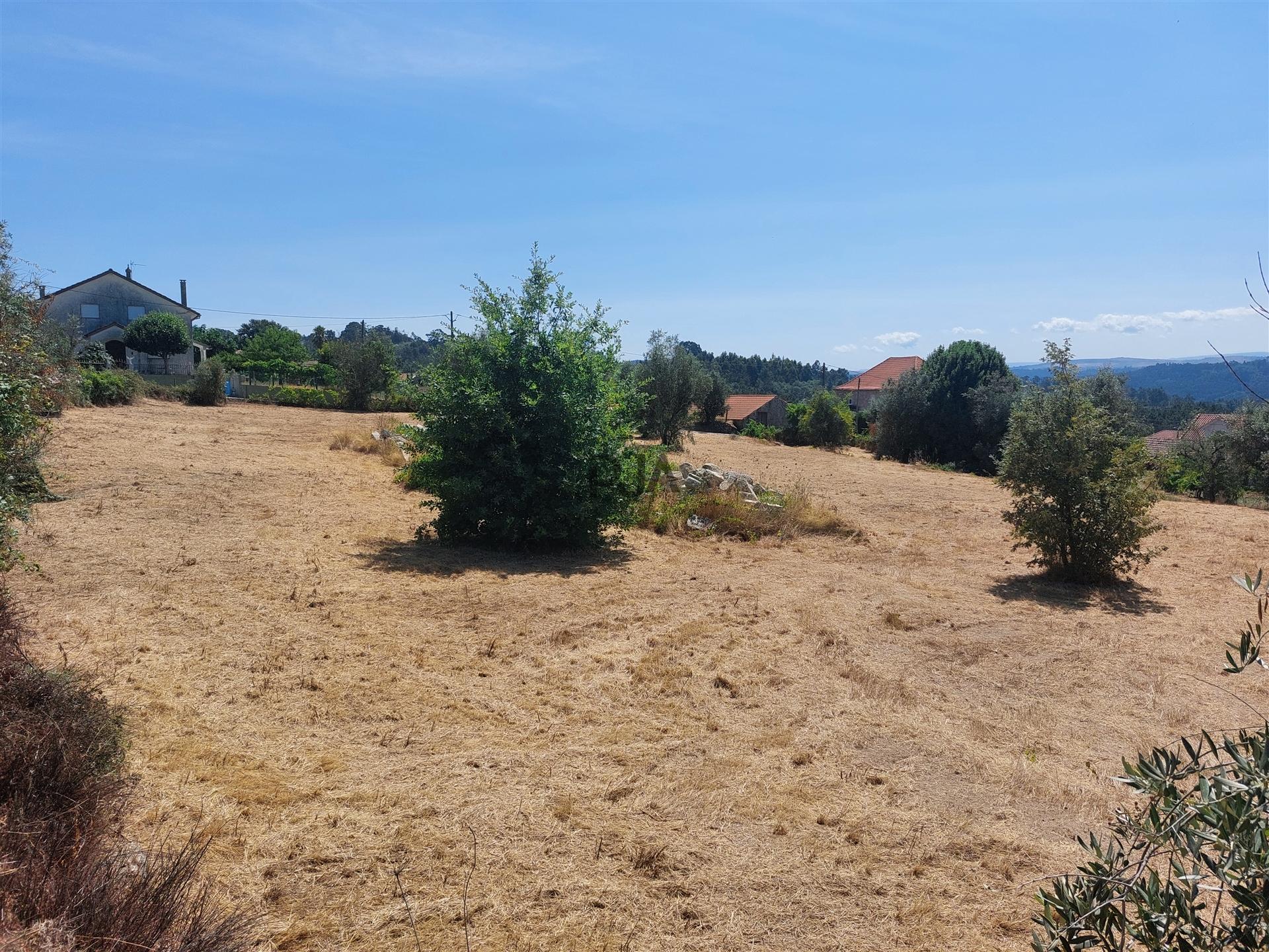 Terreno para construção em Encoberta, Penalva do Castelo
