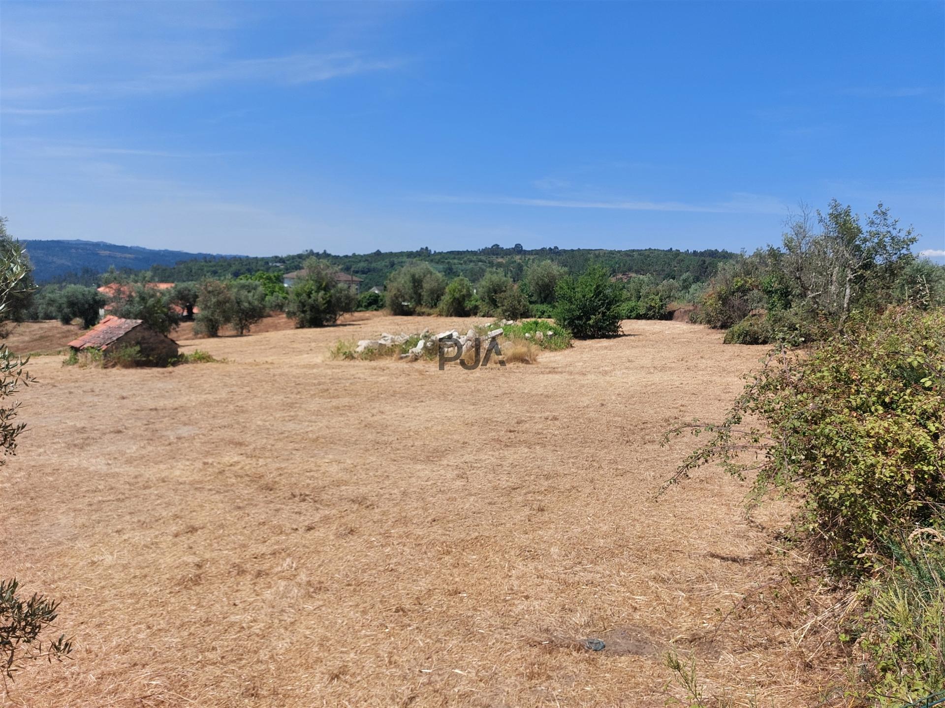 Terreno para construção em Encoberta, Penalva do Castelo