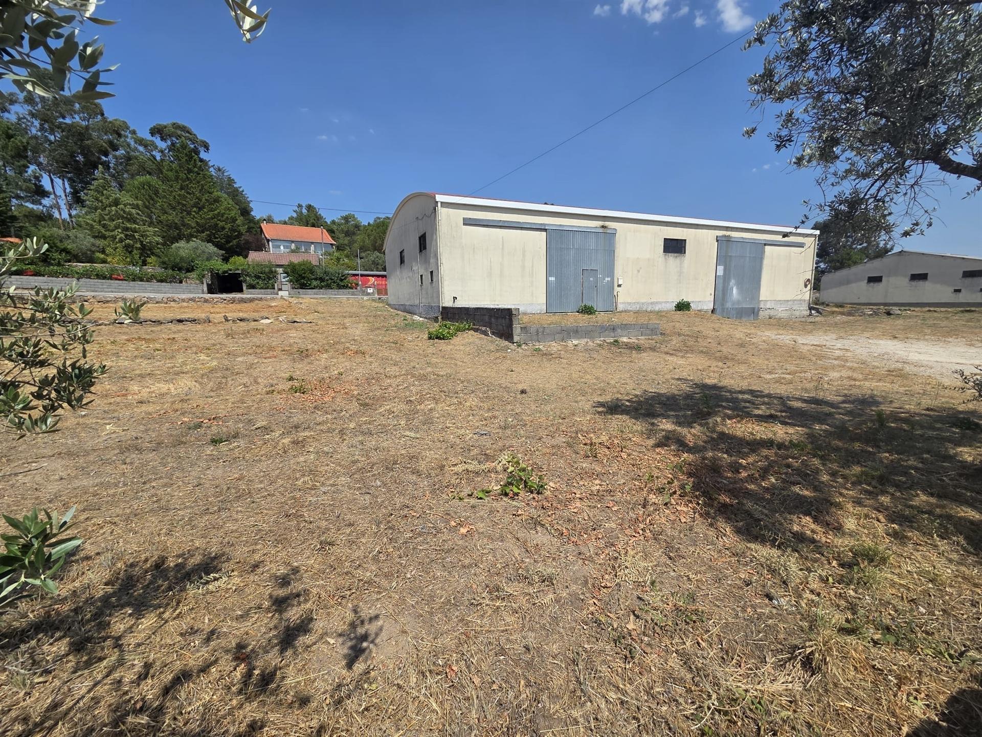 Pavilhão/ Armazém para arrenda em Antas, Penalva do Castelo